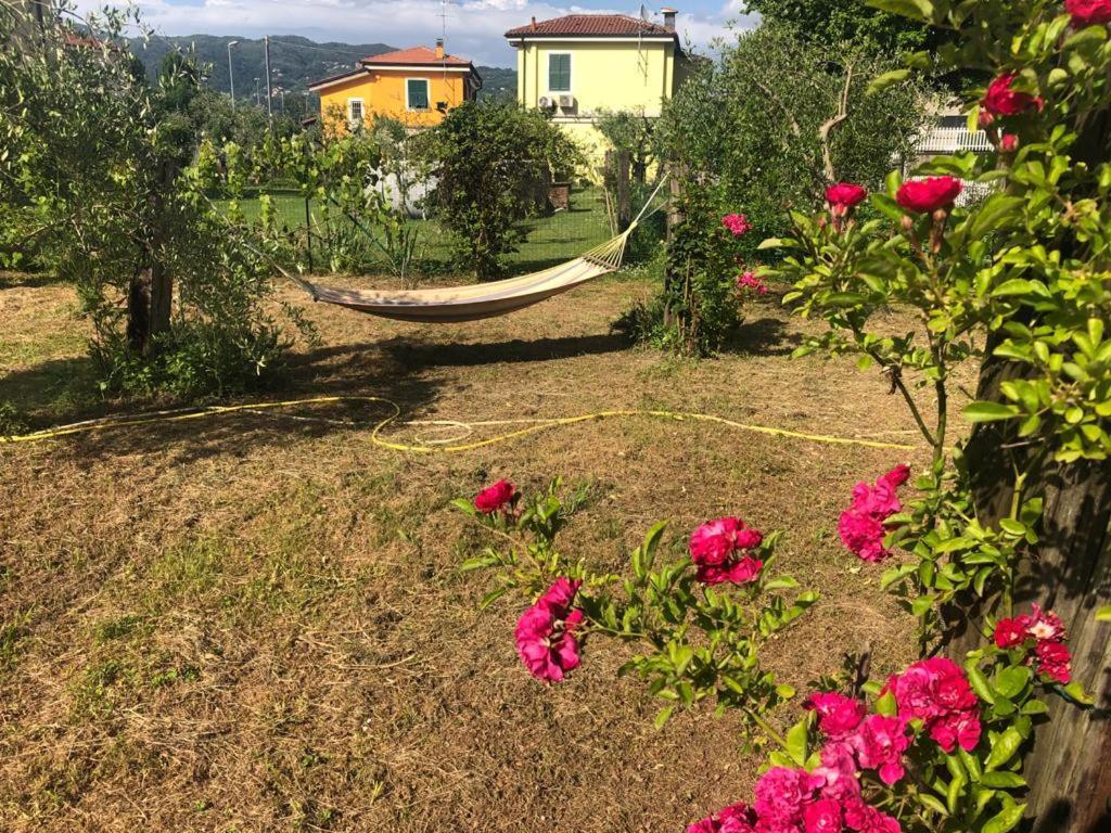 Villa La Casa Di Ulivi Piano di Follo Exterior foto