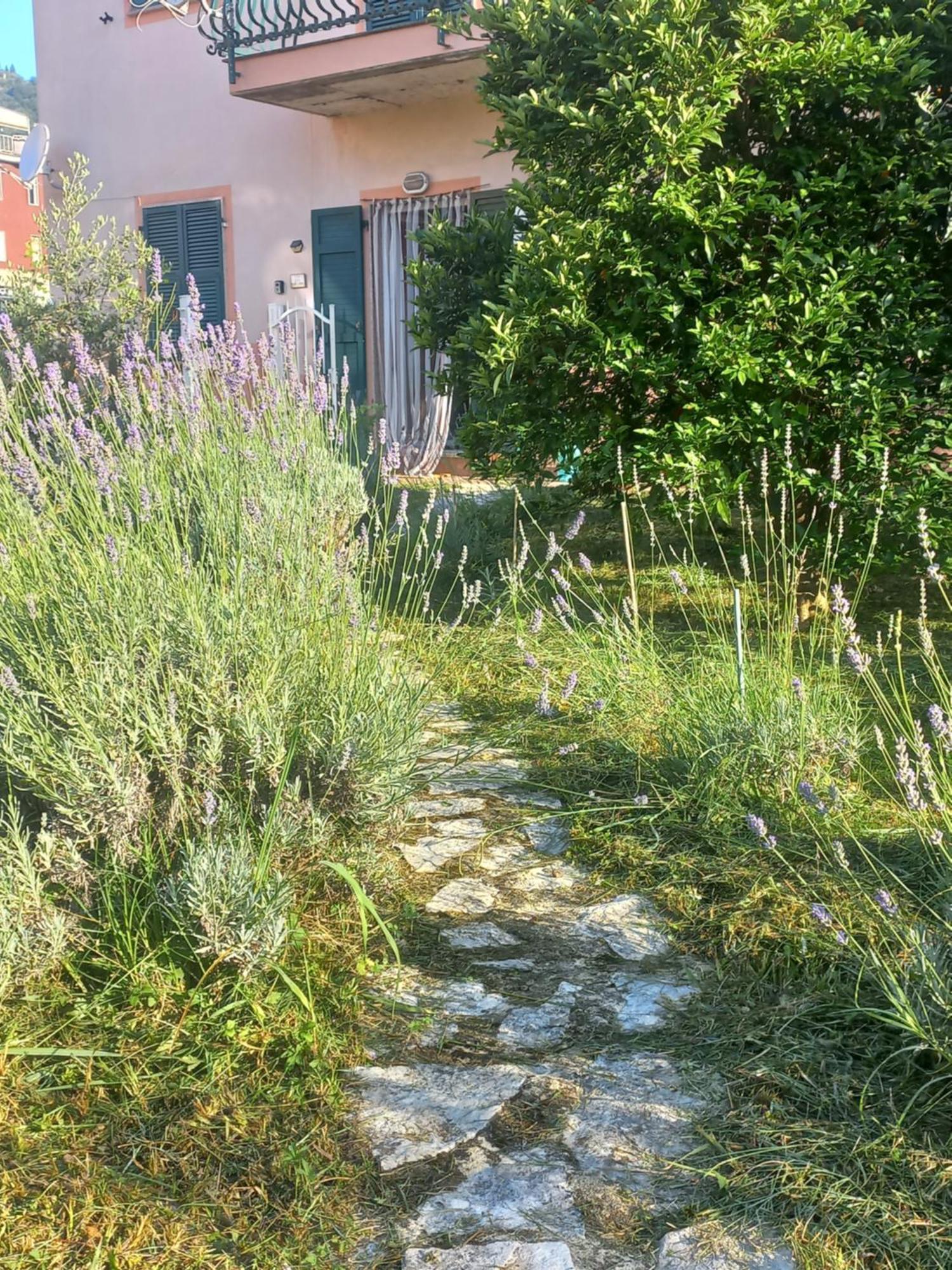 Villa La Casa Di Ulivi Piano di Follo Exterior foto